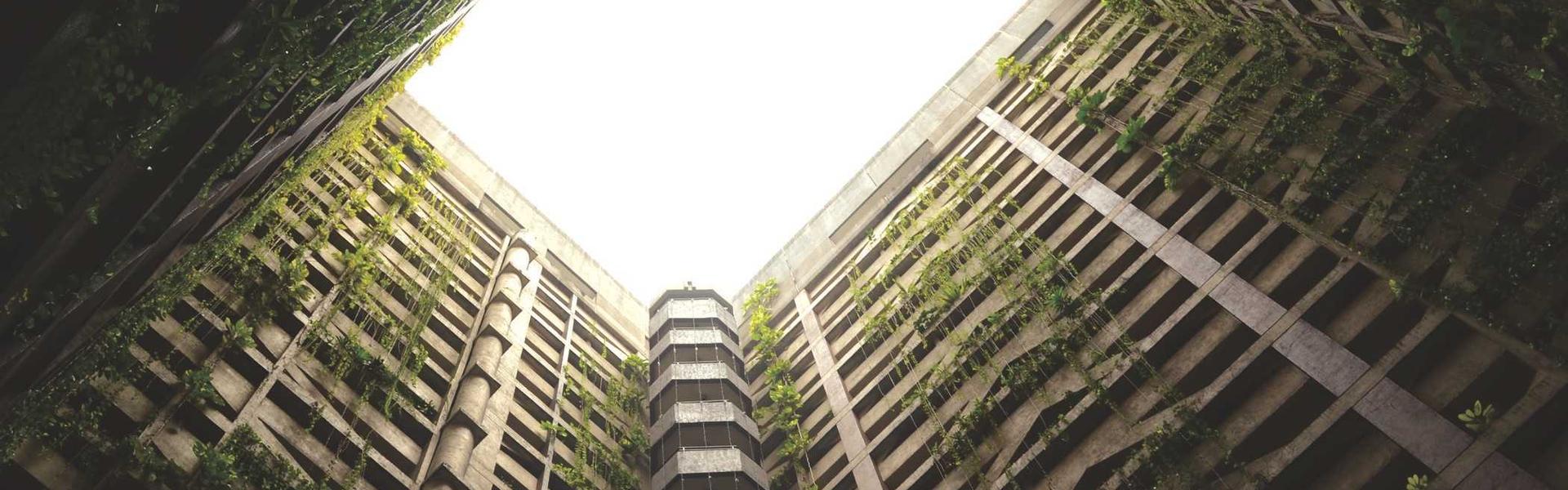 球星动态深度报道